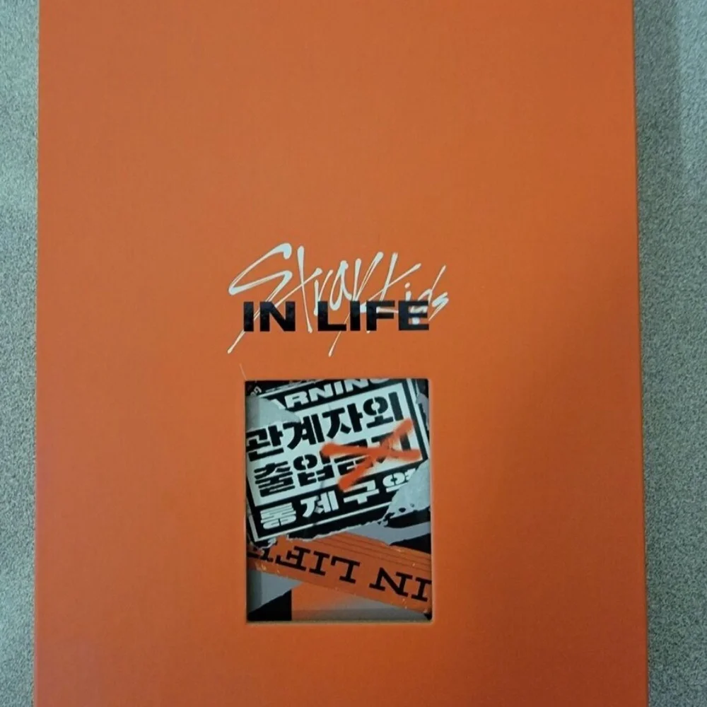 Stray Kids In Life album - Picture 1 of 1